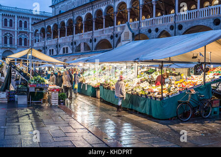 Italien, venetien, Padua, Piazza delle Erbe MARKT Stockfoto