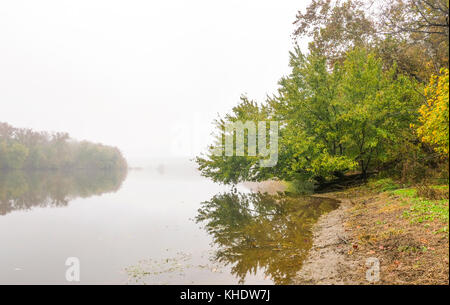 Die Zweige eines gefallenen Baum berühren Sie das Wasser des Potomac River Stockfoto