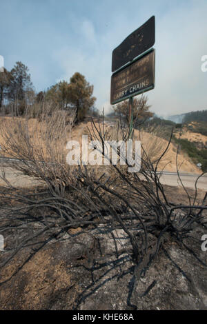 Hitze aus dem Zedernfeuer versengte ein Straßenschild in der US-Landwirtschaftsministerium (USDA) Forest Service (FS) Sequoia National Forest in der Nähe der Gemeinde Alta Sierra und Kernville, CA, am Sonntag, 21. August 2016. Stockfoto