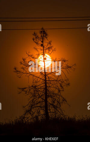 Rauch aus dem Zedernfeuer färbt und verdunkelt die Skys im Sequoia National Forest und in der Umgebung von Kernville, CA, am Sonntag, den 21. August 2016. USDA Foto von Lance Cheung. Stockfoto