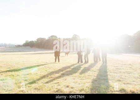 Richmond Park, London. Gruppe von Fotografen ansehen Red Deer stag bei Sonnenaufgang. Stockfoto