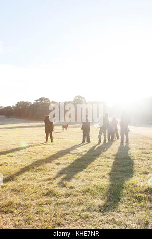 Richmond Park, London Stockfoto