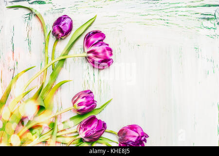 Schöne lila Tulpen Bündel auf weißen Hintergrund Holz, frühlingsblumen Konzept, florale Stockfoto