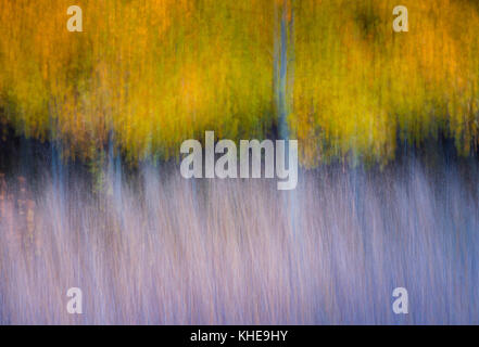 Zusammenfassung der Farben des Herbstes, mit kreativen Verwacklungen der Kamera Bewegung Stockfoto