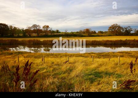 Herbst Farben bei Ebbe entlang des Flusses deben an waldringfield, Suffolk. Stockfoto