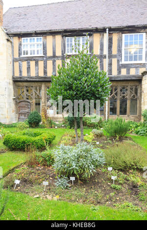 Kräutergarten, der Kathedrale von Gloucester, Gloucester, Gloucestershire, England, Großbritannien Stockfoto