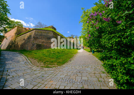 Burg Spielberg Tower View Stockfoto