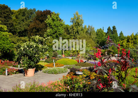 Unteren Garten, Botanischer Garten augsburg, schwaben, bayern, deutschland Stockfoto