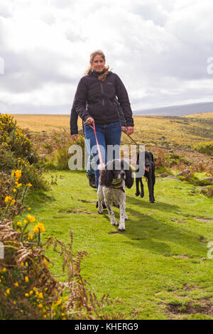 Wenige Hunde in Richtung Wistman's Wood, Nationalpark Dartmoor, Devon, UK im September Stockfoto