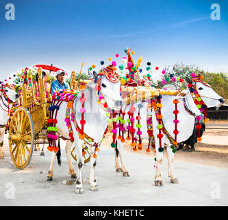 Mandaley, Myanmar - 5. März 2017: burmaneses im Warenkorb mit weißen Stiere an shinbyu (pabbajja) Zeremonie des Theravada Buddhismus in der Nähe von mandaley am 5. März, 20. Stockfoto