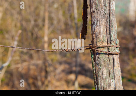 Holzzaun aus Holz und Stacheldraht. verschiedenen Texturen Stockfoto