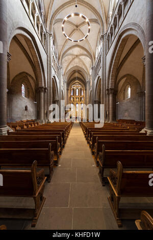 St.-Petri Dom - Genf Stockfoto