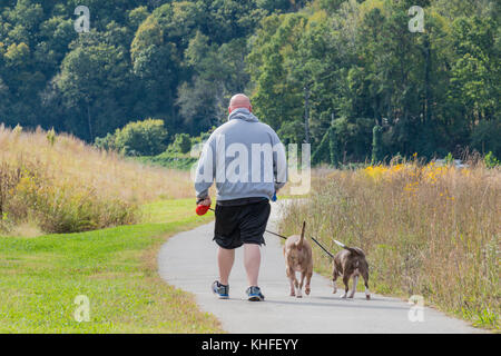 Mann, zwei Hunde entlang eines gepflasterten Weg in einem restaurierten Natur Umwelt in der Nähe von eine TVA-Kraftwerk in Kingston TN Stockfoto