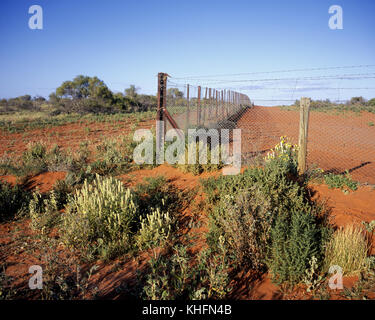 Der Dingo Zaun, an der geographischen Ecke, wo die Grenzen zwischen den drei Staaten erfüllen, New South Wales, South Australia und Queensland. Der Zaun r Stockfoto