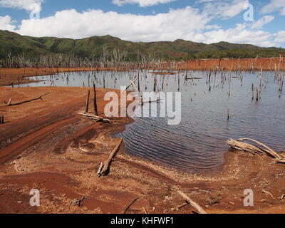Ertrunkenen Kaori Wald im Blue River Park, Neukaledonien Stockfoto