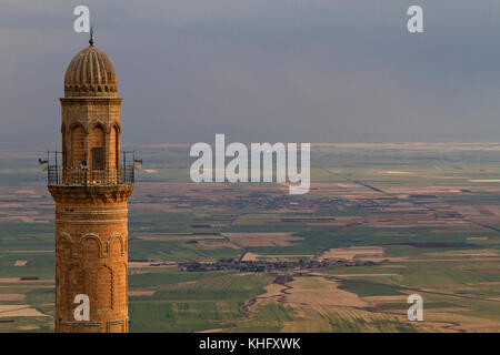 Minarett der Großen Moschee Ulu Cami bekannt auch als mit mesopotamischen Tiefebene im Hintergrund, Mardin, Türkei. Stockfoto