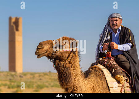 Mann in lokalen Kleidern auf einem Kamel in der Stadt Harran, Sanliurfa, Türkei. Stockfoto