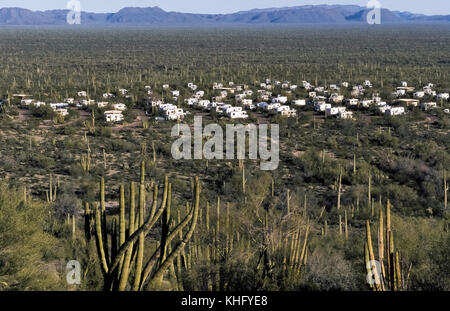 Twin Peaks ist eine von nur zwei Orte, an denen die Besucher können über Nacht im Organ Pipe Cactus National Monument, 517 Quadratmeilen (1338 Quadratkilometer) in der Sonora Wüste im südlichen Arizona, USA abdeckt. Der Park ist der einzige Ort in den Vereinigten Staaten, in denen das Organ Pipe Cactus (Stenocereus thurberi) wild wächst. Die meisten dieser Wildnis war von 2003 bis 2014 geschlossen wegen der Gefahr für die Öffentlichkeit von der Droge Läufer und illegale Einwanderer, die die Grenze überschreiten, das die US-park Aktien mit Mexiko. Der Campingplatz verfügt über 208 Stellplätze für Wohnmobile (RVs) und Zelte. Stockfoto