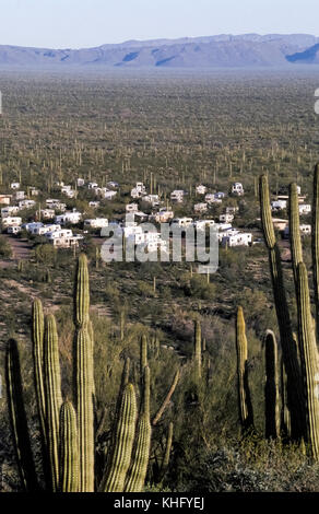 Twin Peaks ist eine von nur zwei Orte, an denen die Besucher können über Nacht im Organ Pipe Cactus National Monument, 517 Quadratmeilen (1338 Quadratkilometer) in der Sonora Wüste im südlichen Arizona, USA abdeckt. Der Park ist der einzige Ort in den Vereinigten Staaten, in denen das Organ Pipe Cactus (Stenocereus thurberi) wild wächst. Die meisten dieser Wildnis war von 2003 bis 2014 geschlossen wegen der Gefahr für die Öffentlichkeit von der Droge Läufer und illegale Einwanderer, die die Grenze überschreiten, das die US-park Aktien mit Mexiko. Der Campingplatz verfügt über 208 Stellplätze für Wohnmobile (RVs) und Zelte. Stockfoto