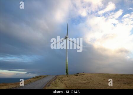 Die Art der Färöer im Nordatlantik Stockfoto