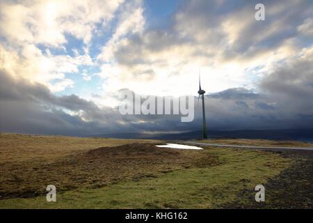 Die Art der Färöer im Nordatlantik Stockfoto