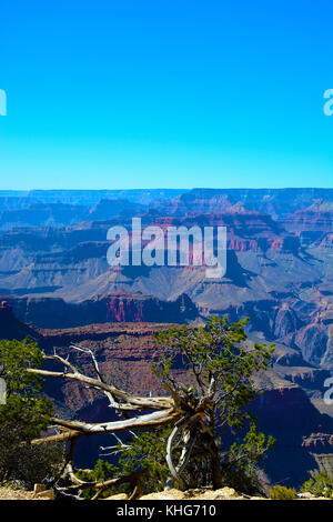 Landschaft Foto des Grand Canyon in Arizona, Vereinigte Staaten, USA Stockfoto