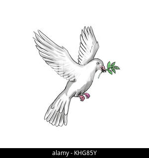 Tattoo Style Abbildung einer Taube oder Taube fliegen mit dem Olivenzweig. Stockfoto