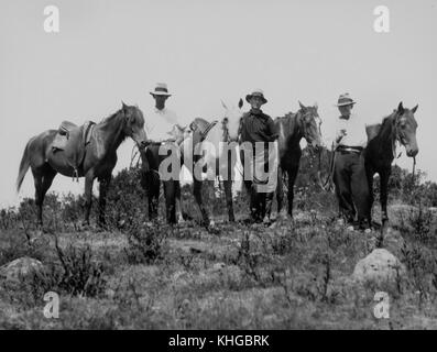 Dieses Foto von 1929 zeigt Harry, Allan und Frank mit ihren Pferden auf dem Mt. Mowbullan in den Bunya Mountains, Australien. Es fängt einen historischen Moment in der australischen Natur ein und hebt die raue Landschaft und die Kultur der damaligen Zeit hervor. Stockfoto