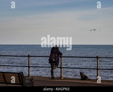 Honiton, Devon, 17. Nov 17 Besucher und Bewohner genossen einen warmen und sonnigen Freitag Nachmittag in Sidmouth, an der Küste von Devon. Foto Central/Alamy leben Nachrichten Stockfoto