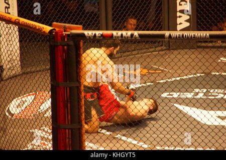 Hamburg, Deutschland. 18. Nov 2017.der Kampf zwischen Aaron Fröhlich und Ali Ramadan während We Love MMA34 © Björn Deutschmann/Alamy Live News Stockfoto