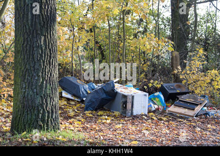 Berlin, Deutschland. 17. Nov, 2017. sperrigen Müll auf der Seite liegend auf einem Pfad in ein Stück Wald in Berlin, Deutschland, 17. November 2017. Credit: soeren Stache/dpa/alamy leben Nachrichten Stockfoto