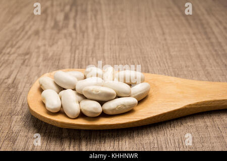 Phaseolus vulgaris ist wissenschaftlicher Name der Marine Bohne Hülsenfrucht. Auch bekannt als weiße, pearl Bean und feijao Branco. Körner in Holzlöffel. rustikal. Stockfoto