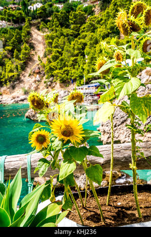 Die raue Schönheit der Insel Capri an der Amalfiküste in Italien Stockfoto