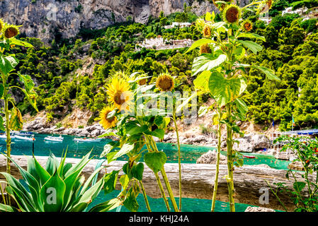 Die raue Schönheit der Insel Capri an der Amalfiküste in Italien Stockfoto