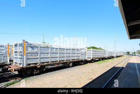 Moderne Rinder Zug auf Abstellgleisen für Emerald Bahnhof, Central Queensland, Queensland, Australien Stockfoto