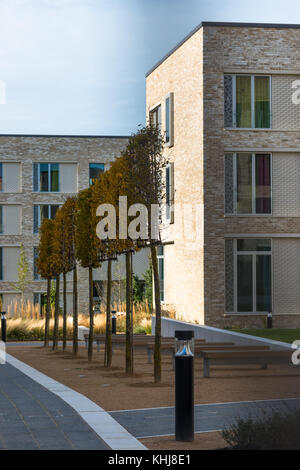 Girton College Swirles Hof ist Teil des neuen Stadtteils von Eddington von Grund auf in Nord West Cambridge gebaut wird. Cambridgeshire, Großbritannien. Stockfoto