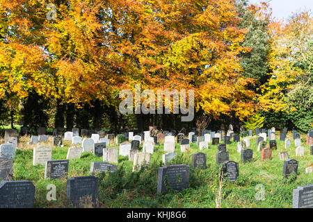 Christi Himmelfahrt Pfarrei Gräberfeld enthält Gräber und Gedenkstätten der Universität Cambridge Wissenschaftler des 19. und frühen 20. Jahrhunderts. Cambridge, Großbritannien. Stockfoto