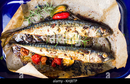 Gebratene Makrele Fisch in der Pfanne Draufsicht Stockfoto