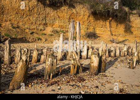 Die Klippen und Holz- buhnen helfen Küstenerosion in Lepe Country Park, Küste und Strand, New Forest, Hampshire, UK zu verhindern Stockfoto