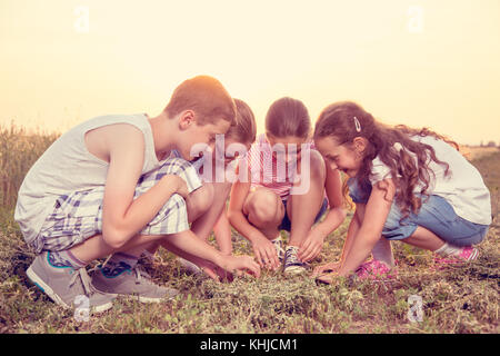 Vier junge Kinder hocken zusammen im Sommer Sonnig Feld, die Gras suchen, entdecken das Leben rund um Stockfoto