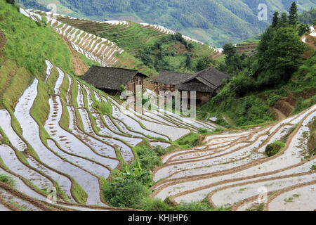 Die Häuser auf dem longsheng Reisterrassen; China Stockfoto