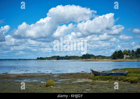 Ile Tascon im Golfe du Morbihan Bretagne Frankreich. Stockfoto