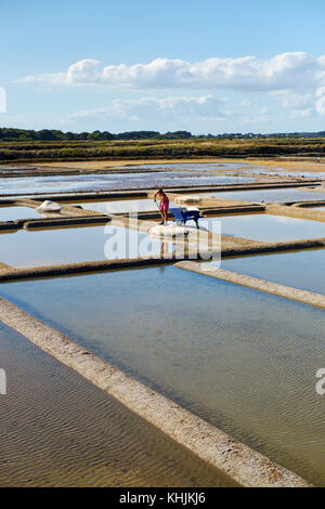 Die Salinen von Guérande in der Nähe von Le Croisic in der Loire-Atlantique Bretagne Frankreich. Stockfoto