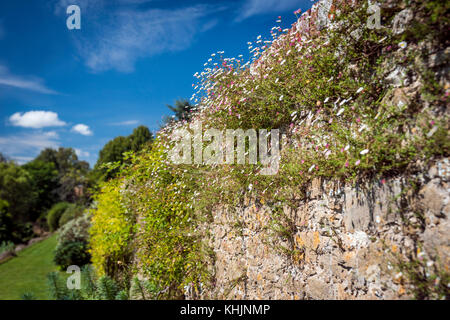 Loseley Park Gardens, Artington, Surrey, Großbritannien Stockfoto