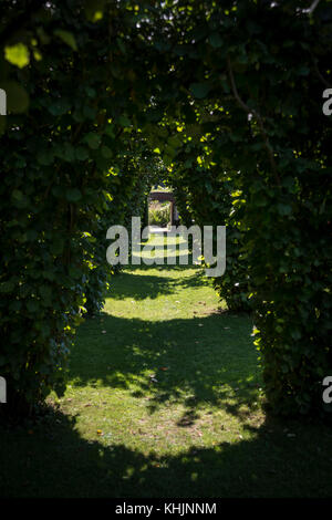 Loseley Park Gardens, Artington, Surrey, Großbritannien Stockfoto