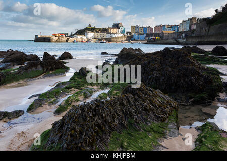 Pembrokeshire Küstenort Tenby, mit bunten Häuser über den Hafen Stockfoto