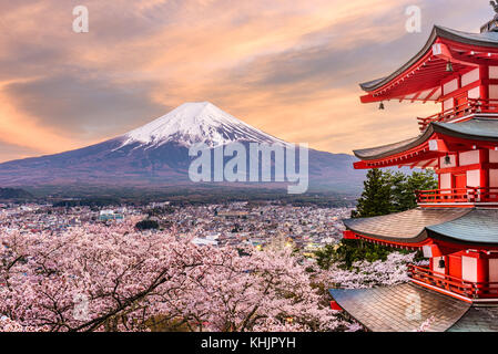 Fujiyoshida, Japan in der chureito Pagode und Mt. Fuji im Frühjahr mit Kirschblüten. Stockfoto
