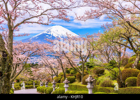 Gotemba STADT, Japan in Peace Park mit Mt. Fuji im Frühjahr Saison. Stockfoto