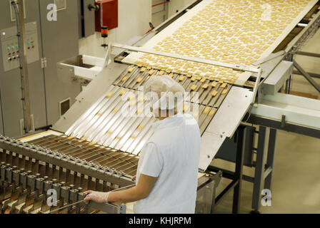 Kekse und Waffeln Produktion Factory Line Stockfoto