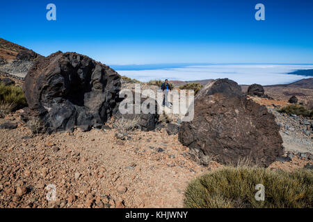 Lava accreation Kugeln im Nationalpark Teide, Teneriffa, Spanien Stockfoto